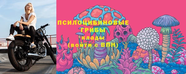 mdma Новозыбков