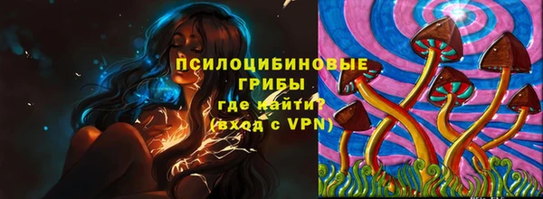mdma Новозыбков