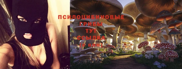 ALPHA PVP Новодвинск
