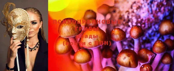 mdma Новозыбков
