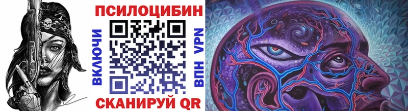 Купить где  Каменка  Псилоцибиновые грибы мицелий 